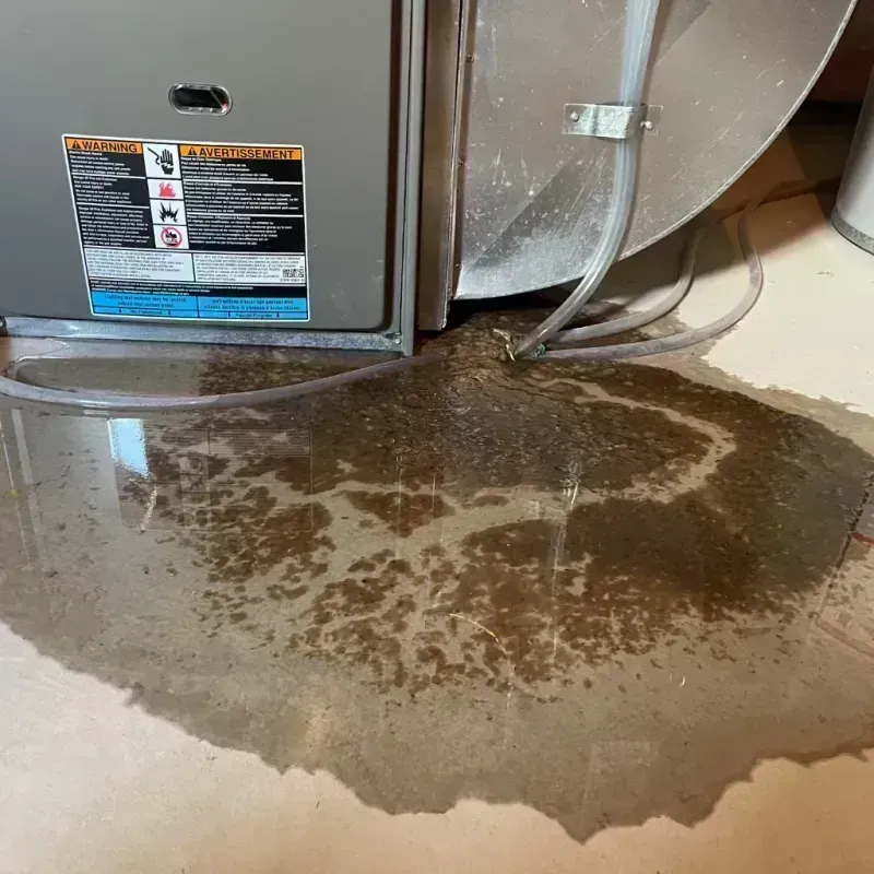 Appliance Leak Cleanup in Lewisport, KY